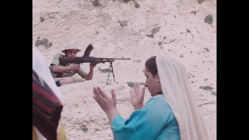 Leila and the Wolves
