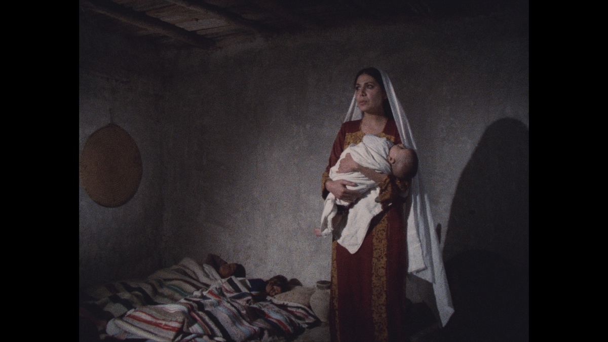 Leila and the Wolves