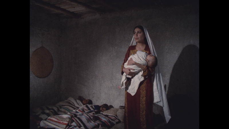 Leila and the Wolves