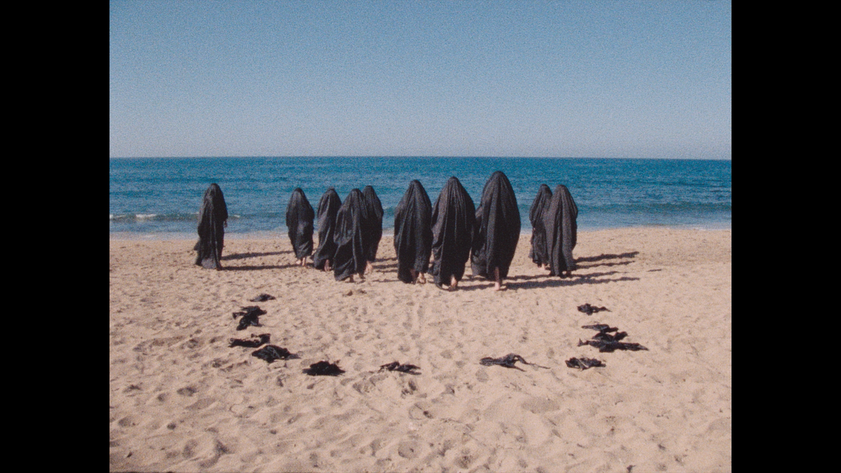 Leila and the Wolves