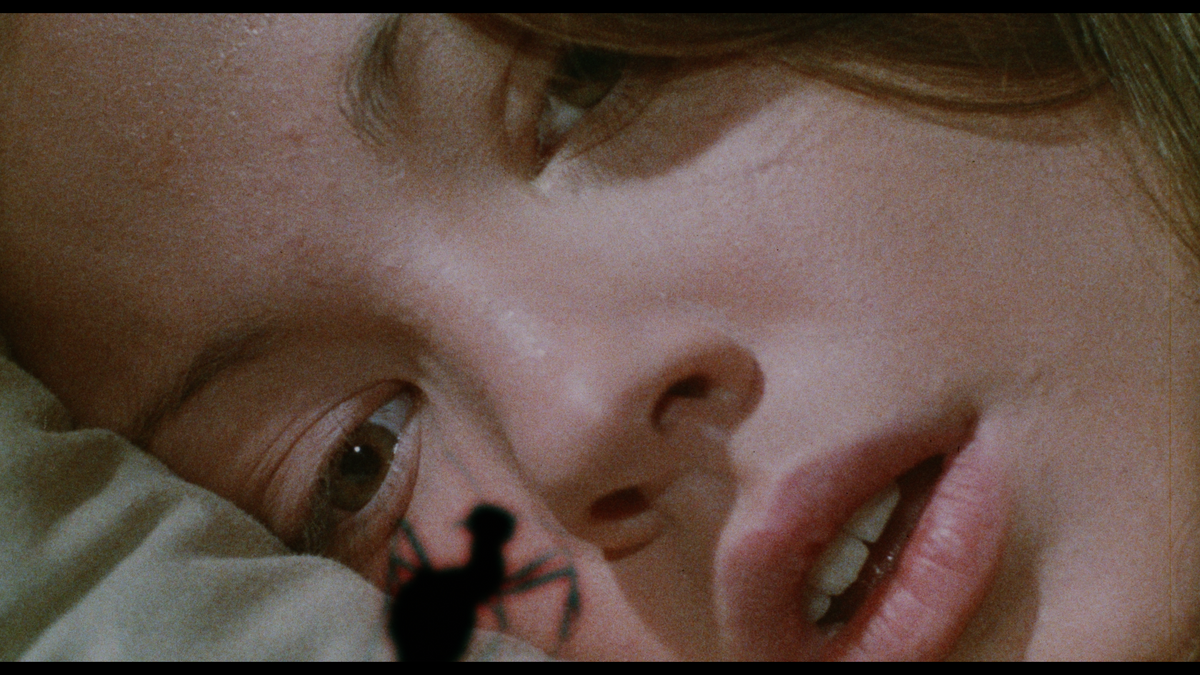 Phase IV