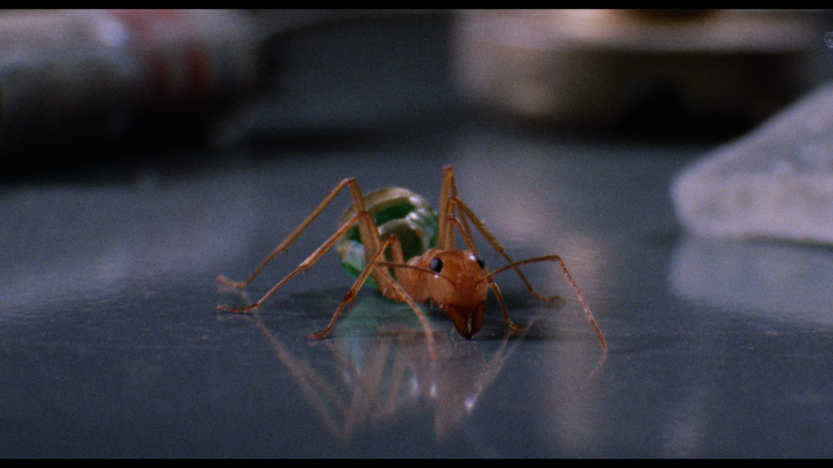Phase IV