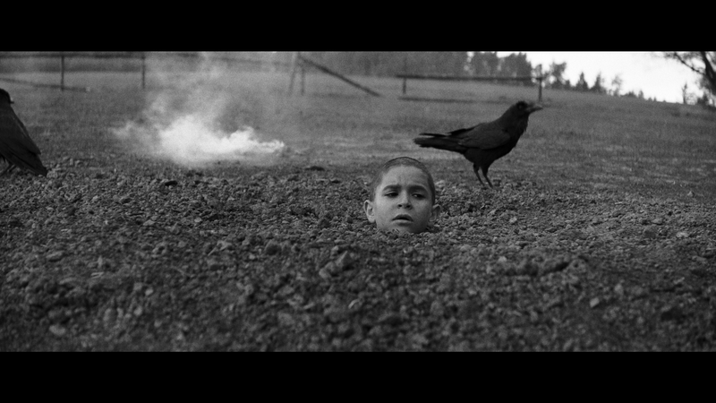 The Painted Bird