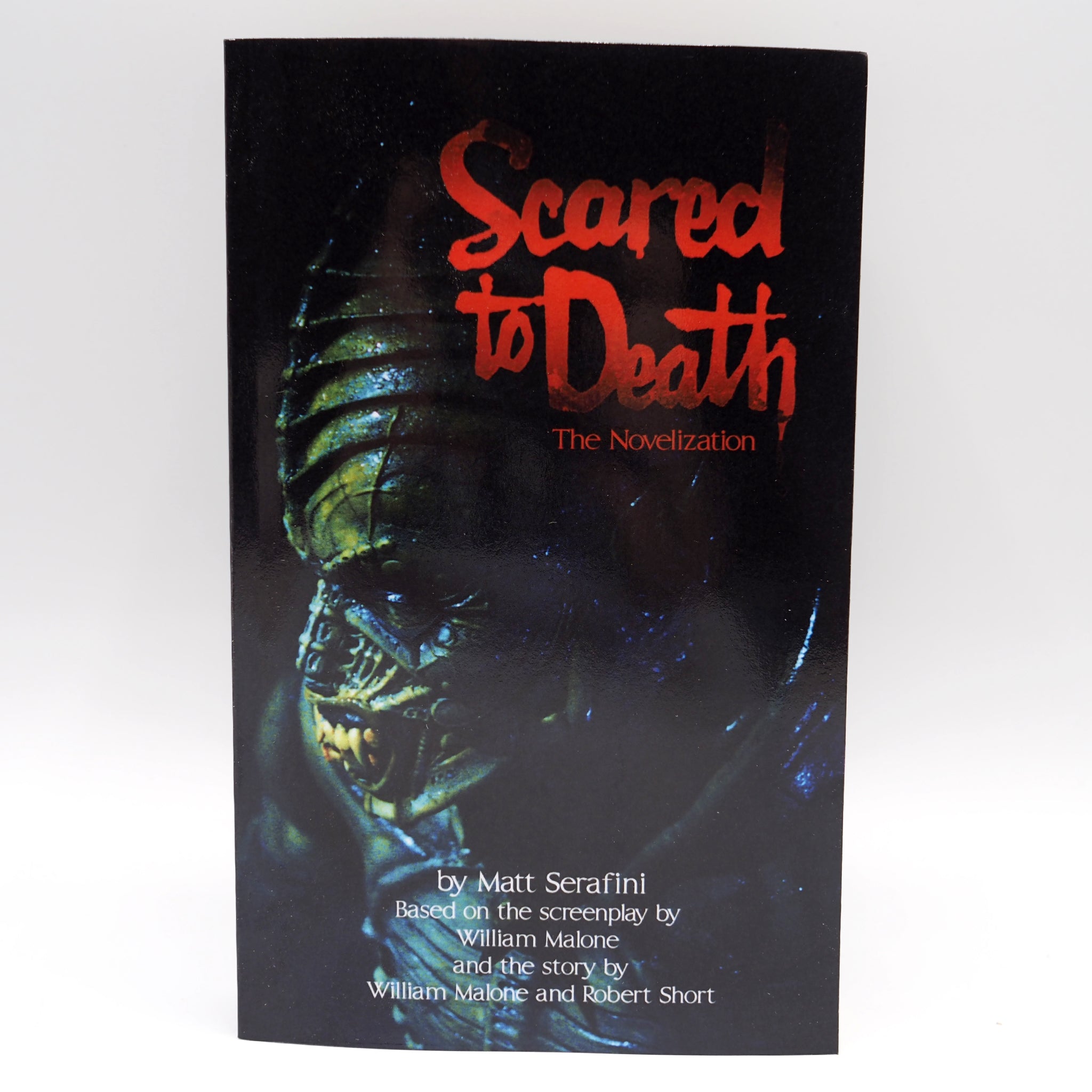 Book　Novelization　Paperback　The　Vinegar　to　Scared　–　Death:　Syndrome