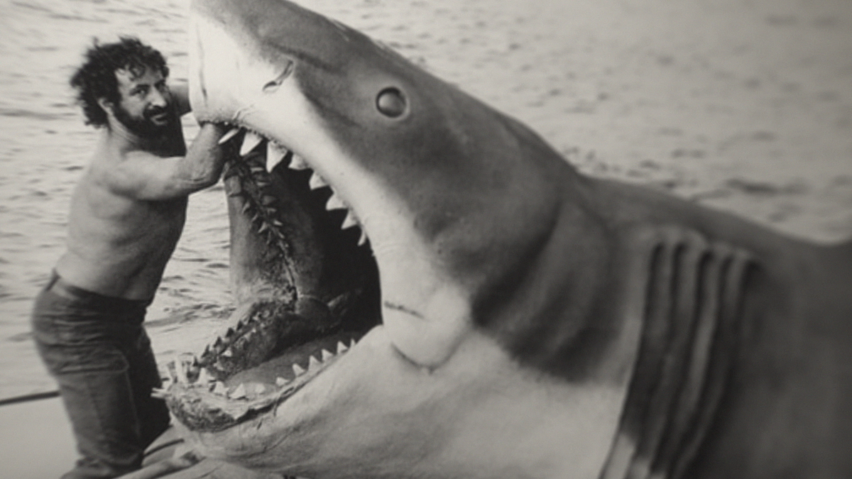 Sharksploitation
