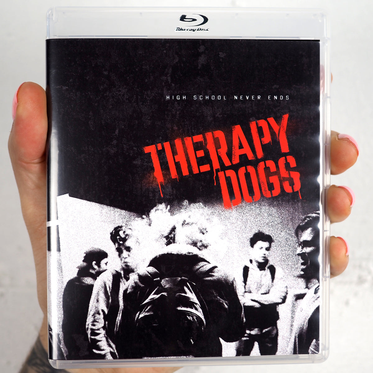 Therapy Dogs