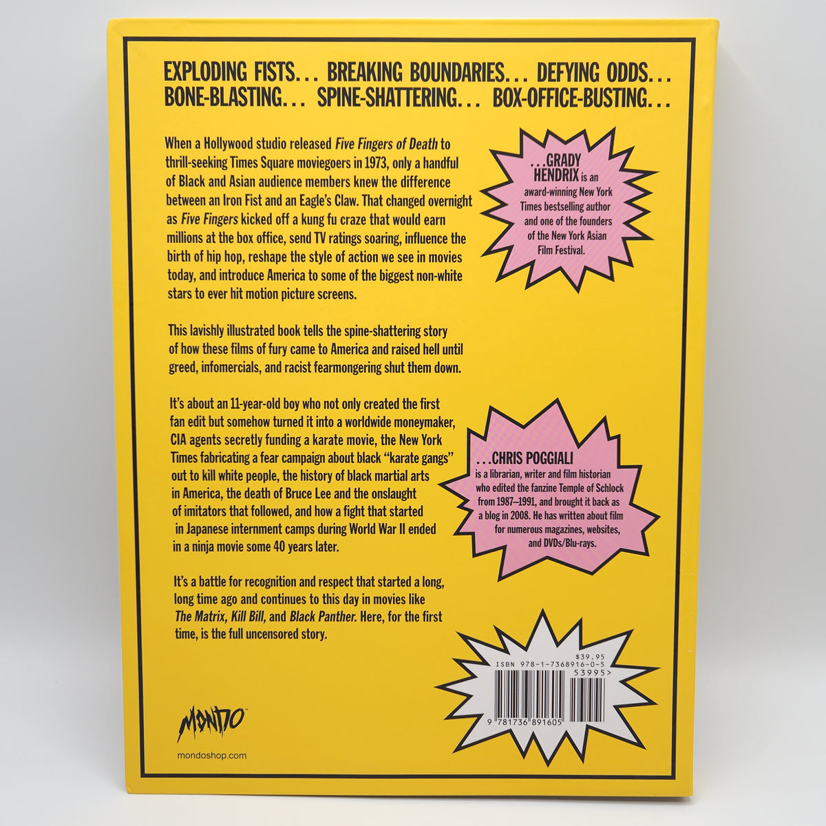 These Fists Break Bricks - Book