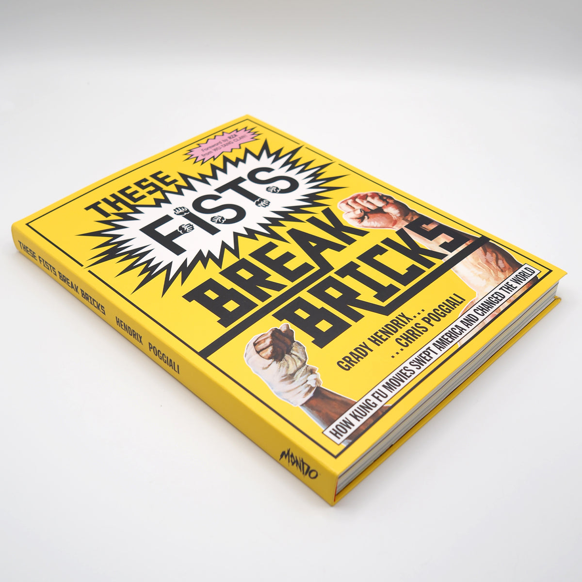 These Fists Break Bricks - Book
