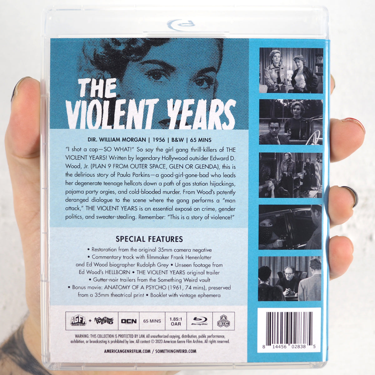 The Violent Years