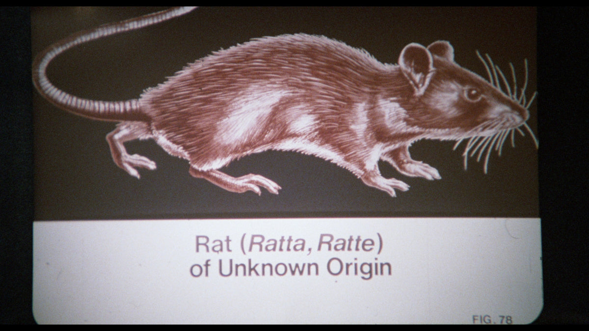 Of Unknown Origin