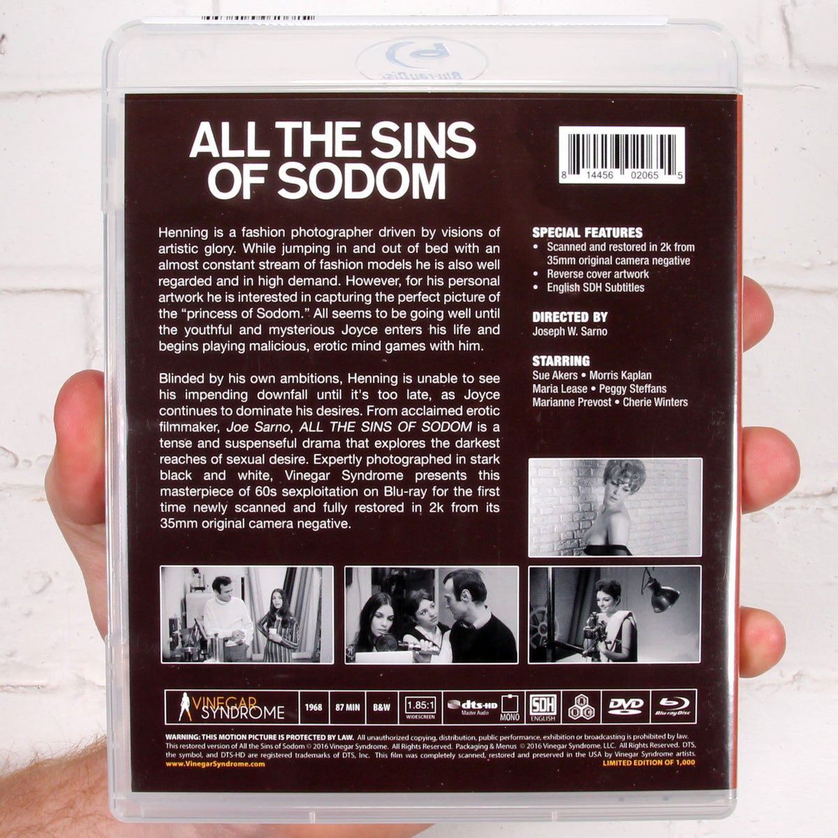 All the Sins of Sodom