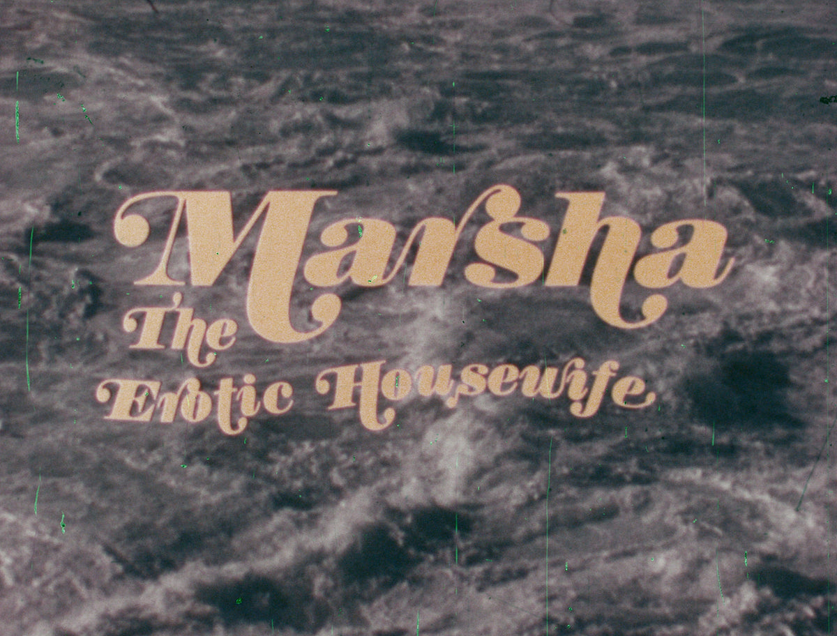 Marsha the Erotic Housewife / For Single Swingers Only / Her Odd Tastes
