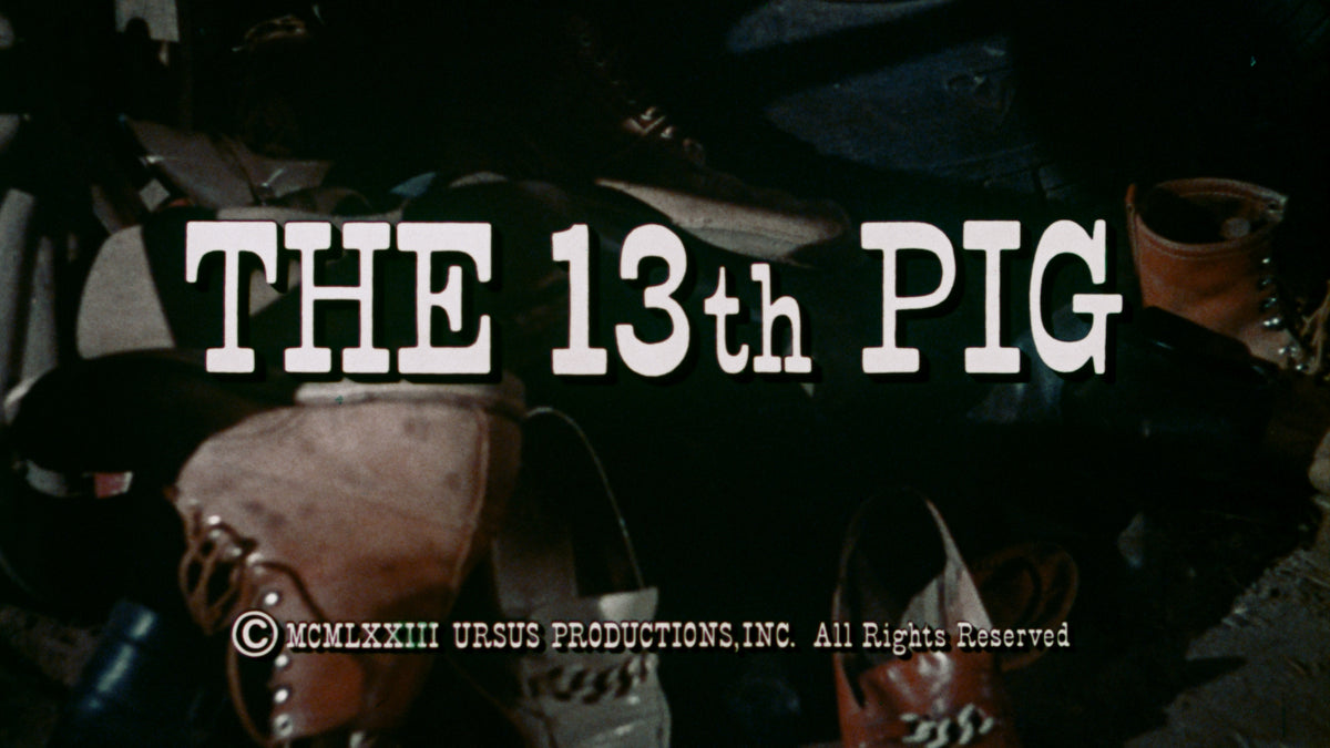Pigs