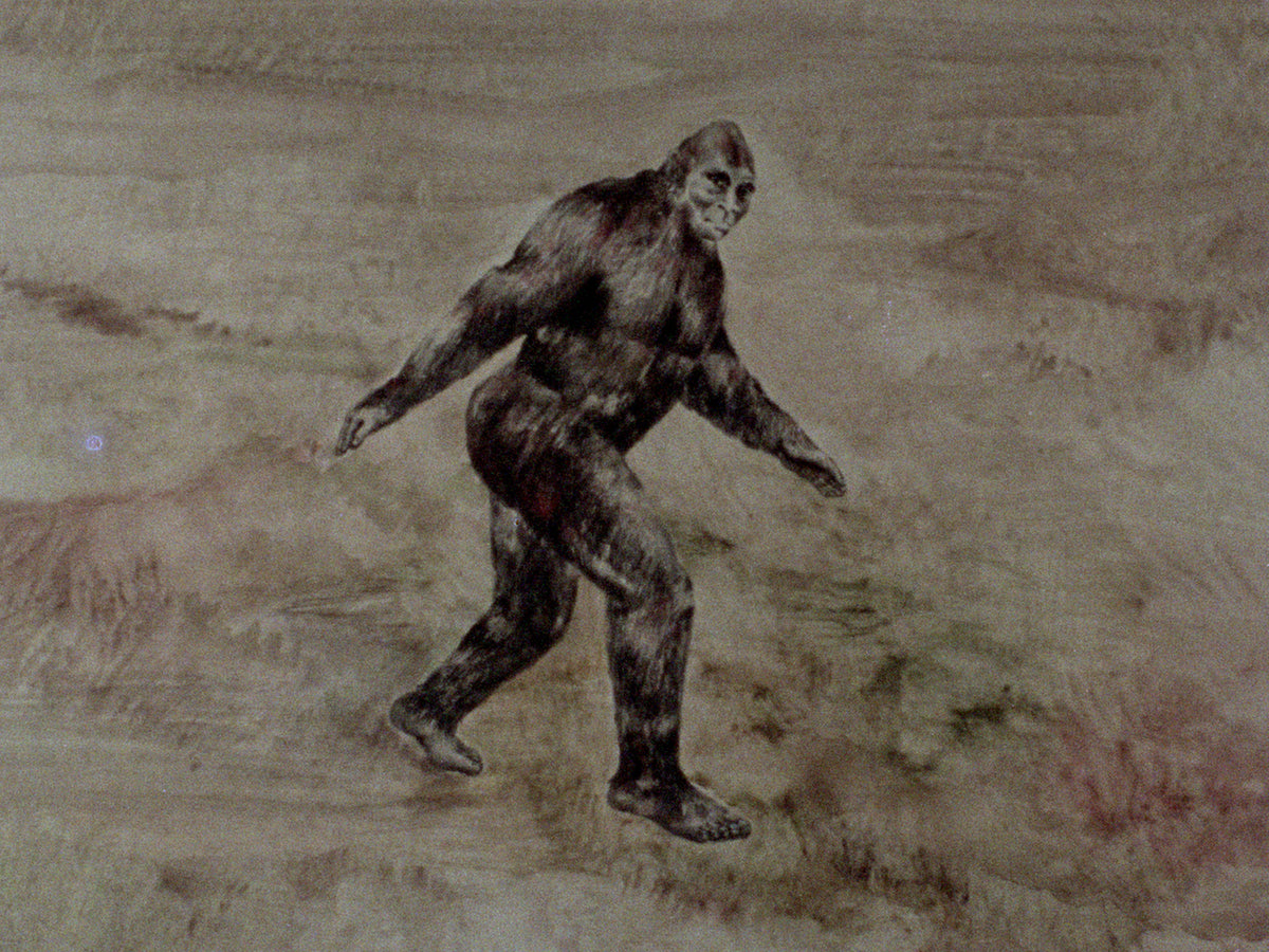 In Search of Bigfoot / Cry Wilderness