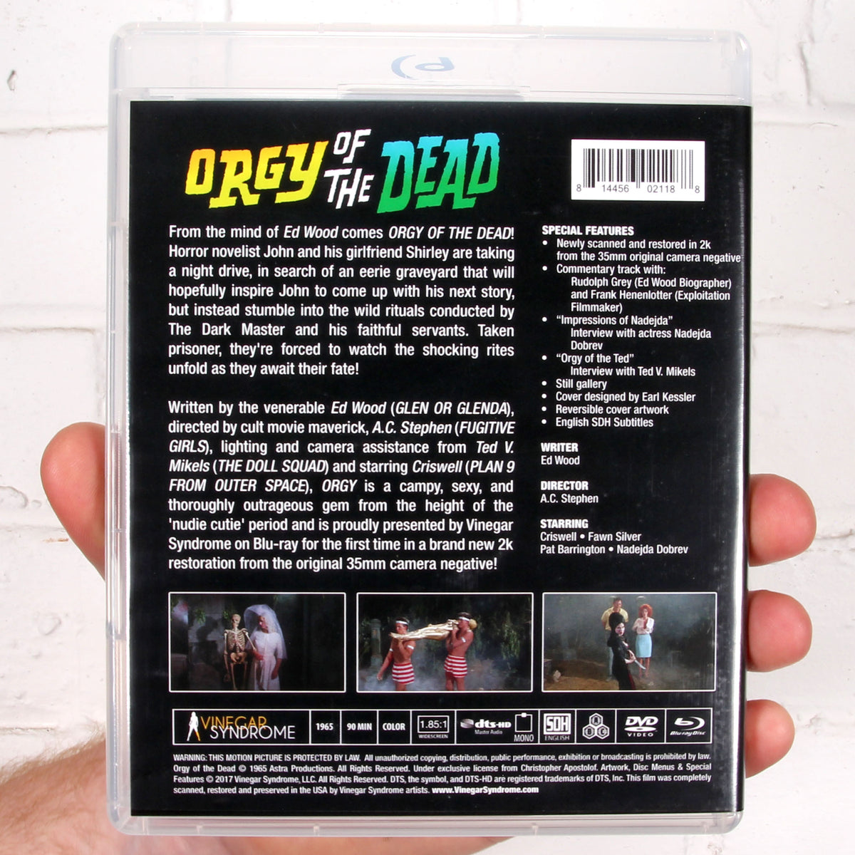 Orgy of the Dead