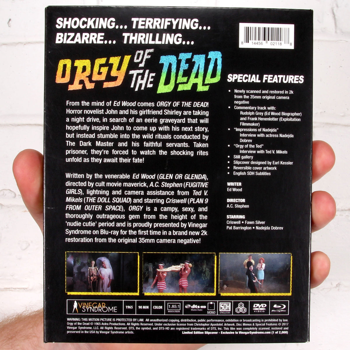 Orgy of the Dead