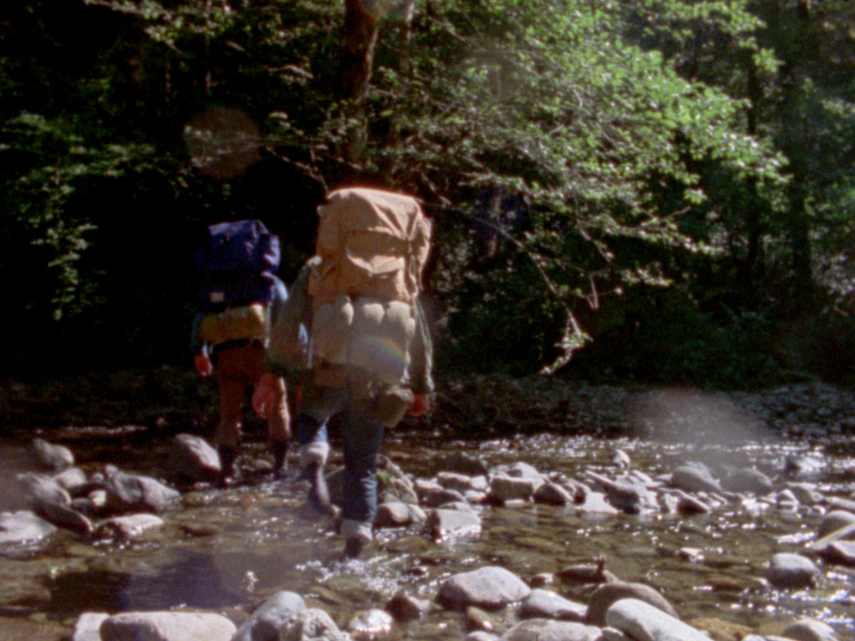 In Search of Bigfoot / Cry Wilderness