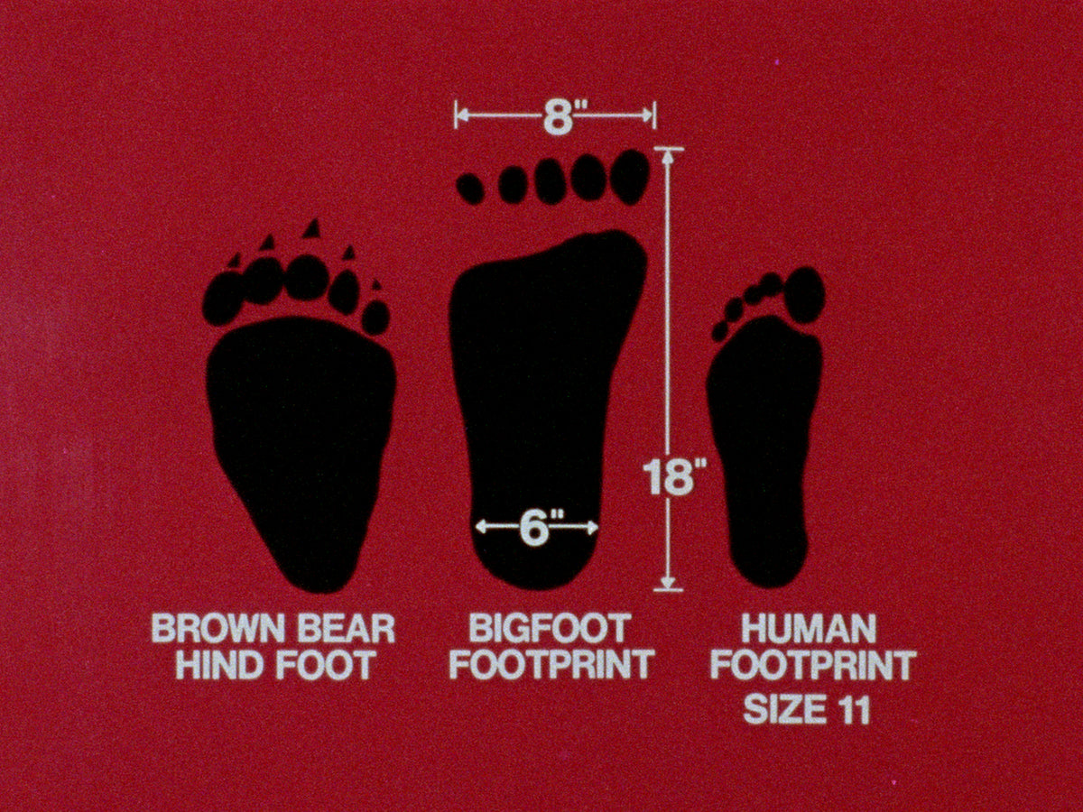 In Search of Bigfoot / Cry Wilderness