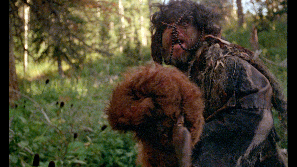 Don't Go In the Woods