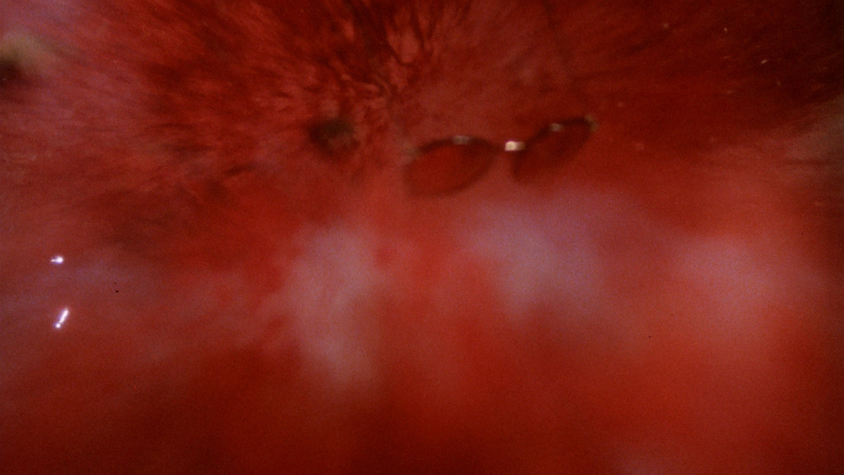 Witchtrap
