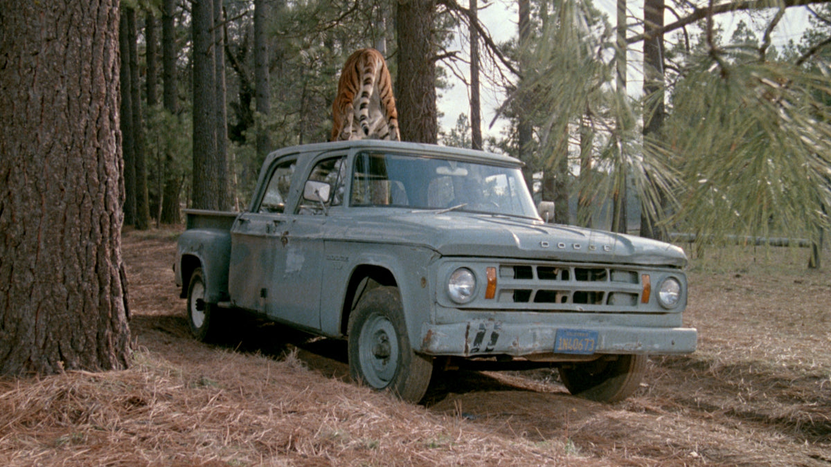 In Search of Bigfoot / Cry Wilderness