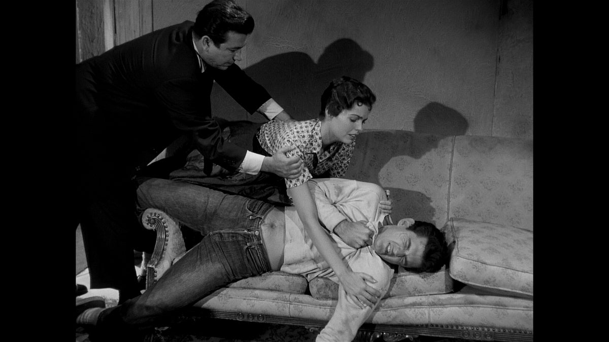 Anatomy of a Psycho / The Lonely Sex