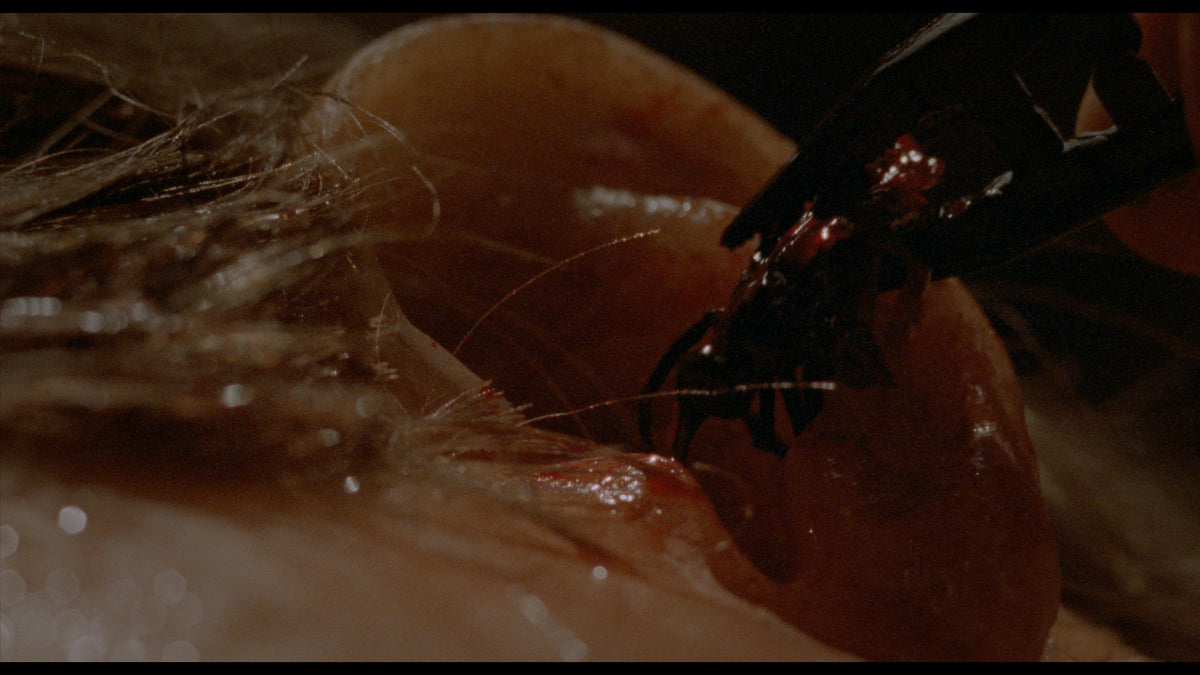 Amityville: Dollhouse