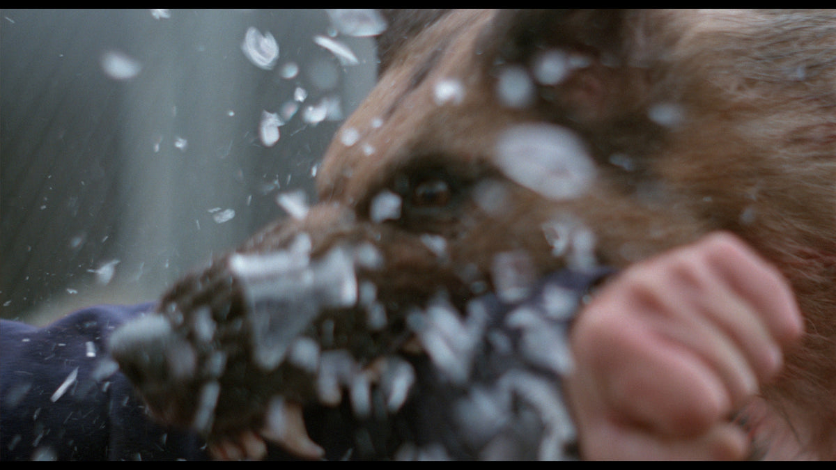 Amityville: It's About Time