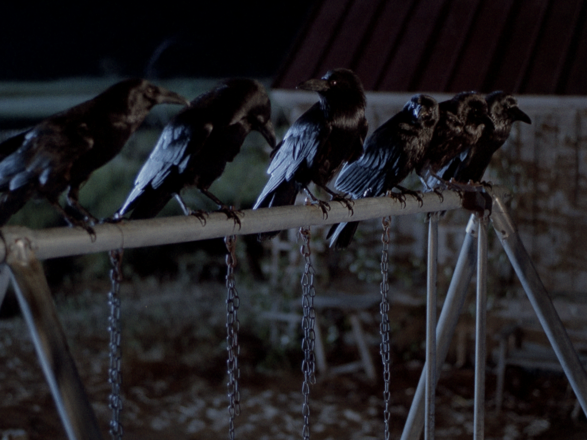 The Birds II: Land's End