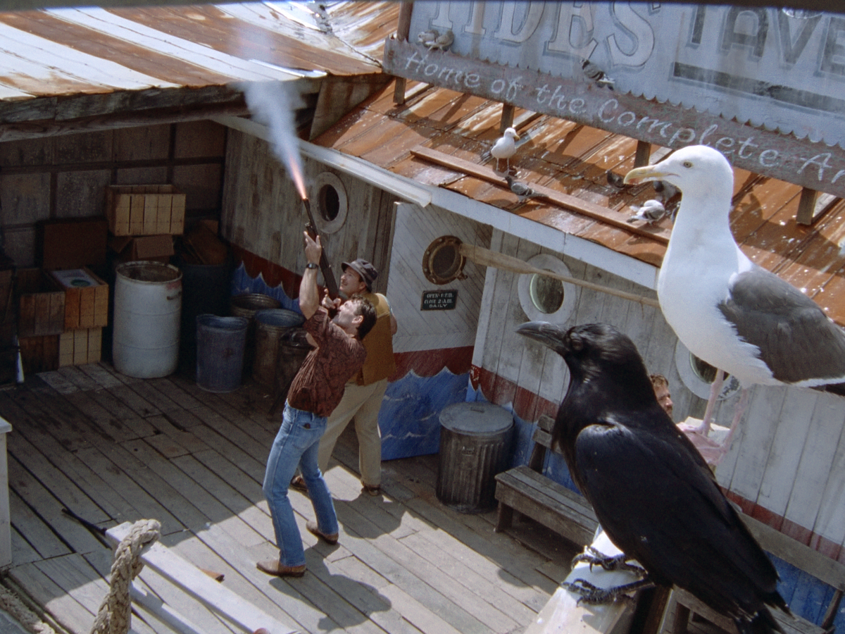 The Birds II: Land's End