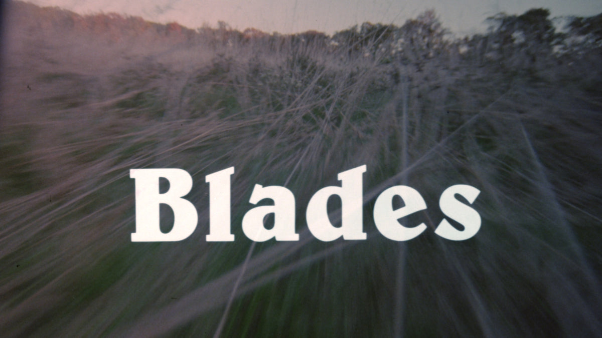 Blades