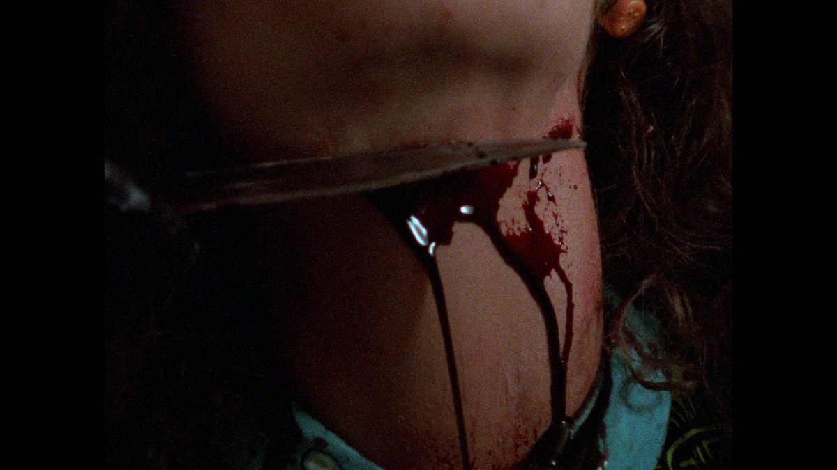 Home Grown Horrors: Volume Two