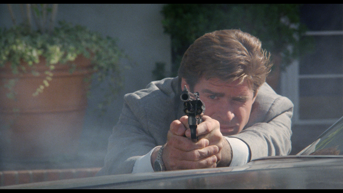 Dead Heat