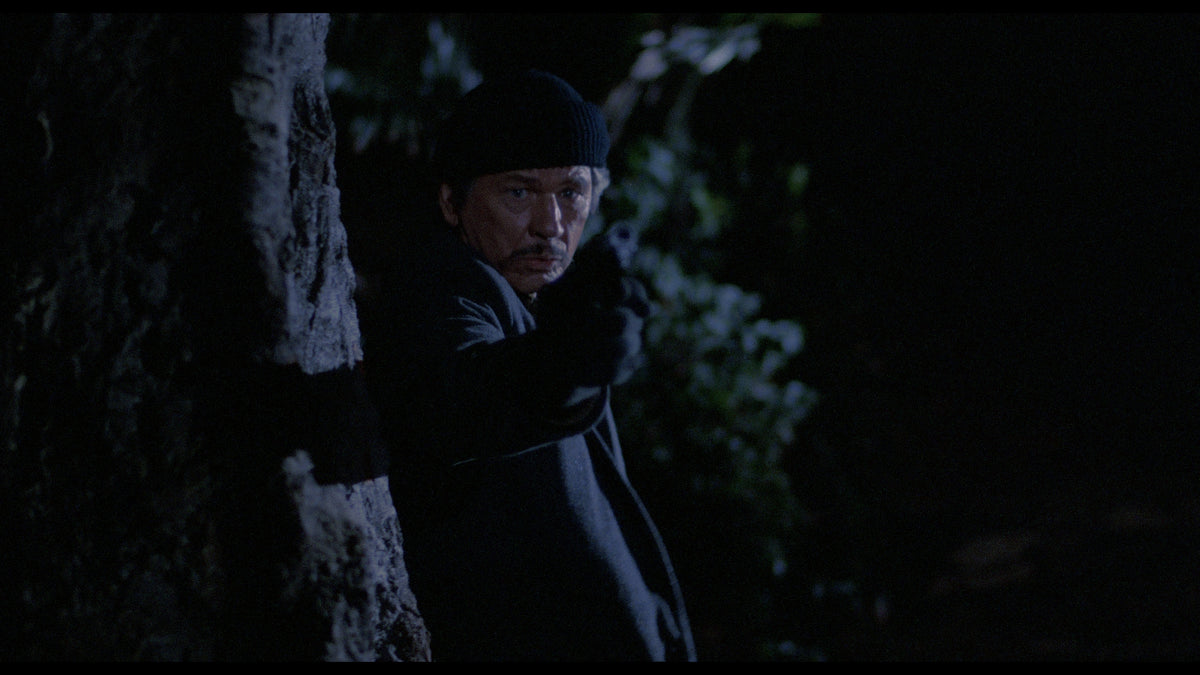 Death Wish II