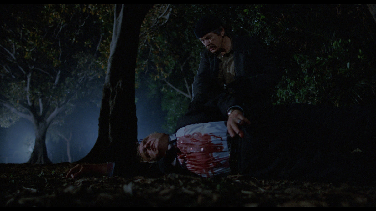 Death Wish II