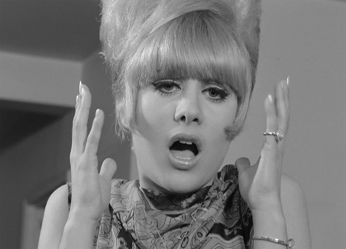 The Films of Doris Wishman: The Moonlight Years