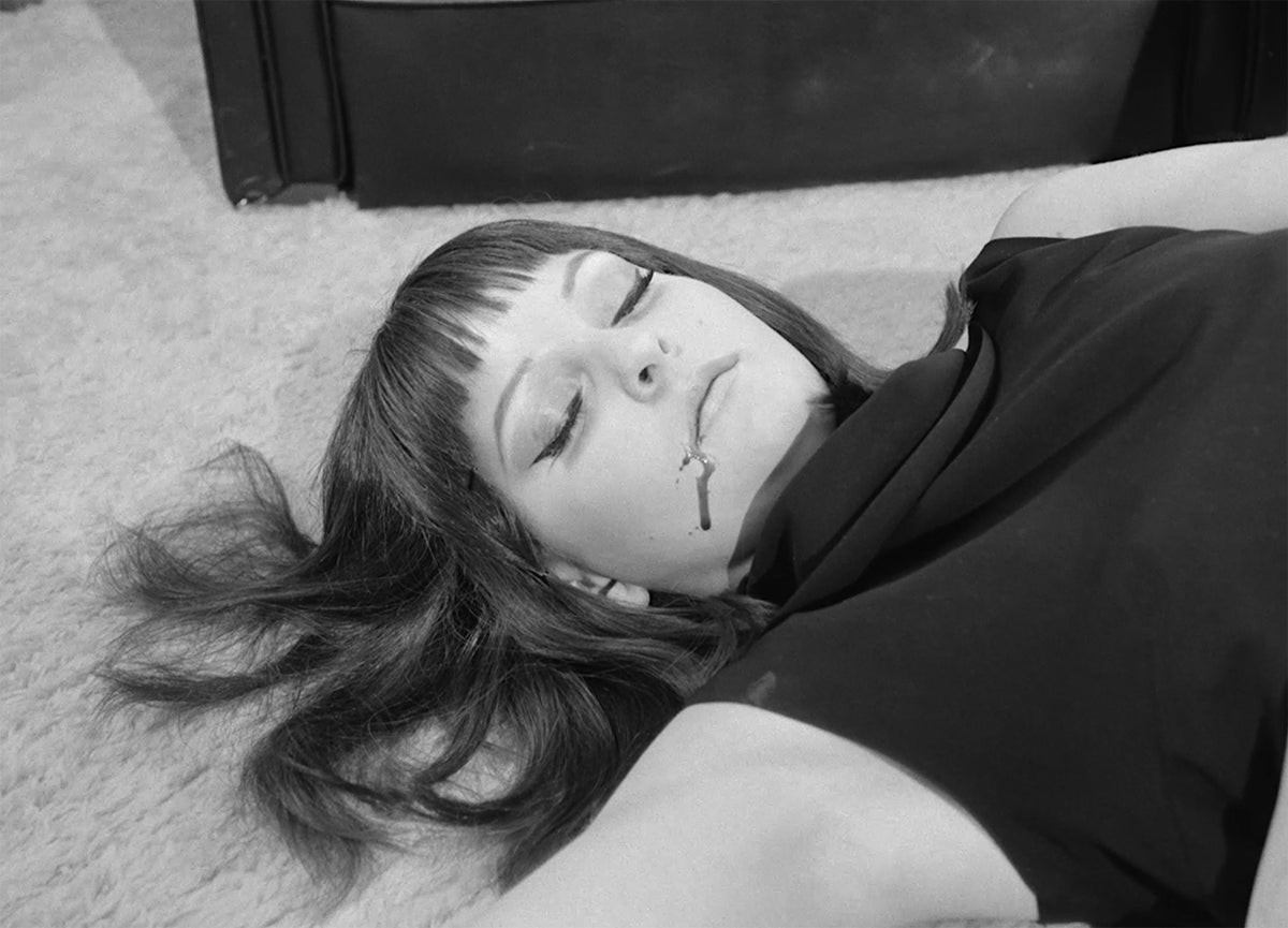 The Films of Doris Wishman: The Moonlight Years