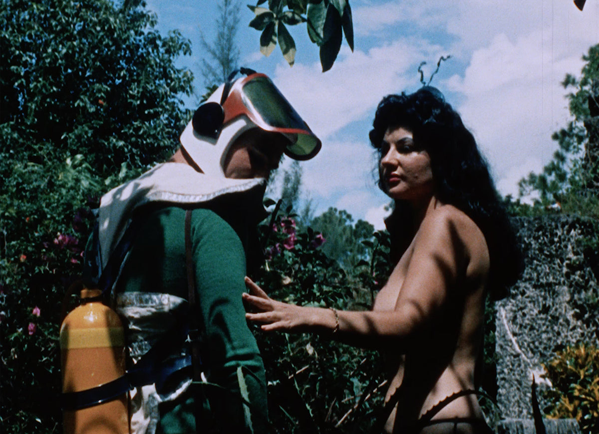 The Films of Doris Wishman: The Daylight Years