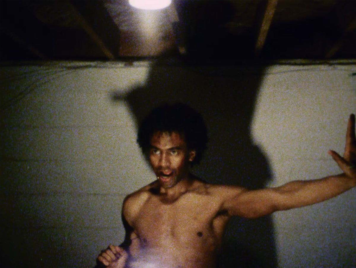 Treasure of the Ninja and the Films of William Lee