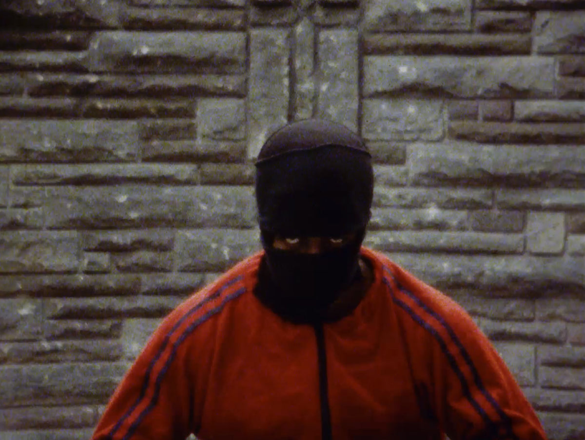 Treasure of the Ninja and the Films of William Lee