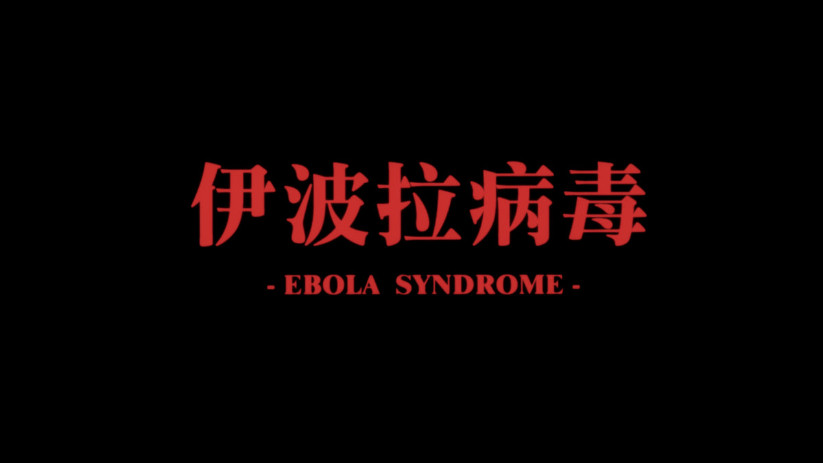 Ebola Syndrome