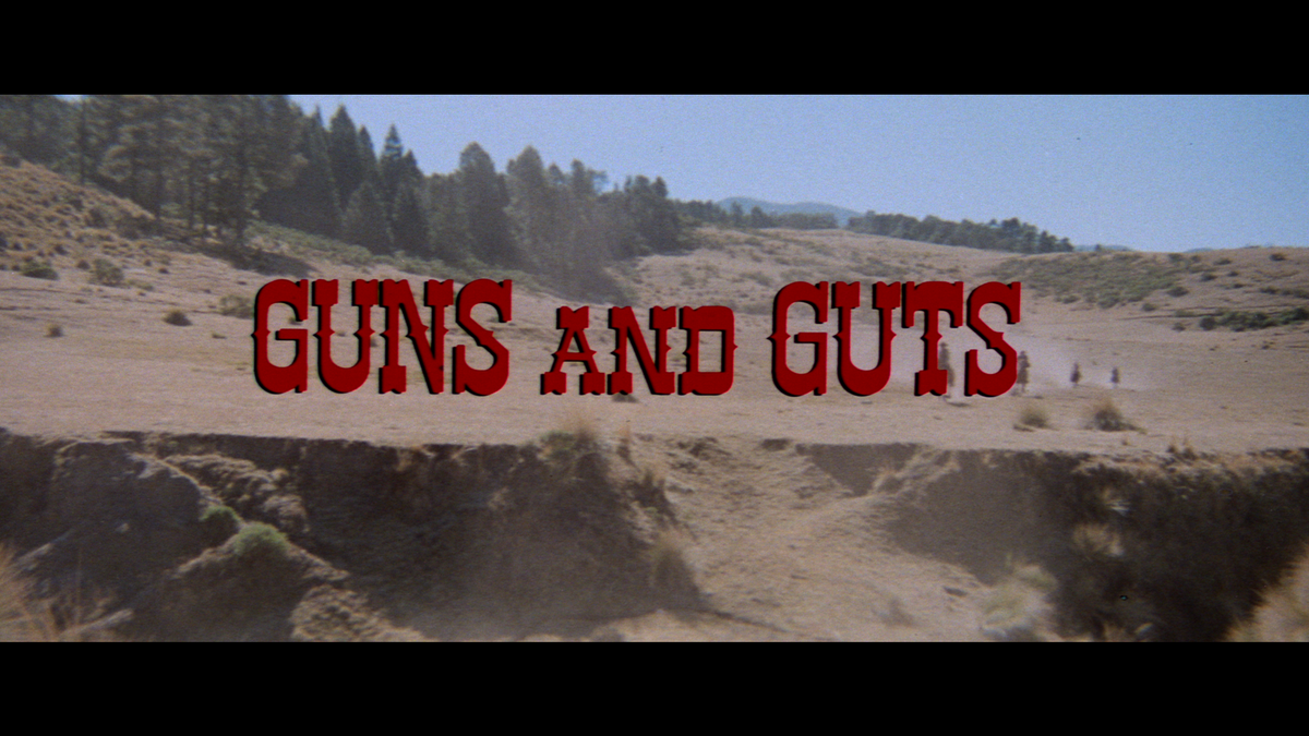 Hot Snake / Guns and Guts