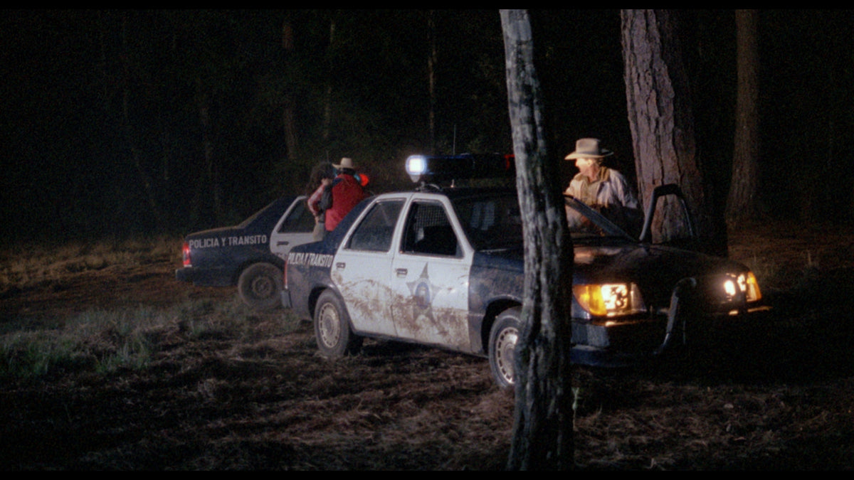 Grave Robbers (Ladrones de Tumbas)