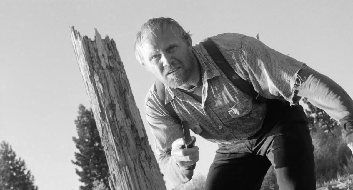 The Monster of Camp Sunshine & Honeymoon of Terror
