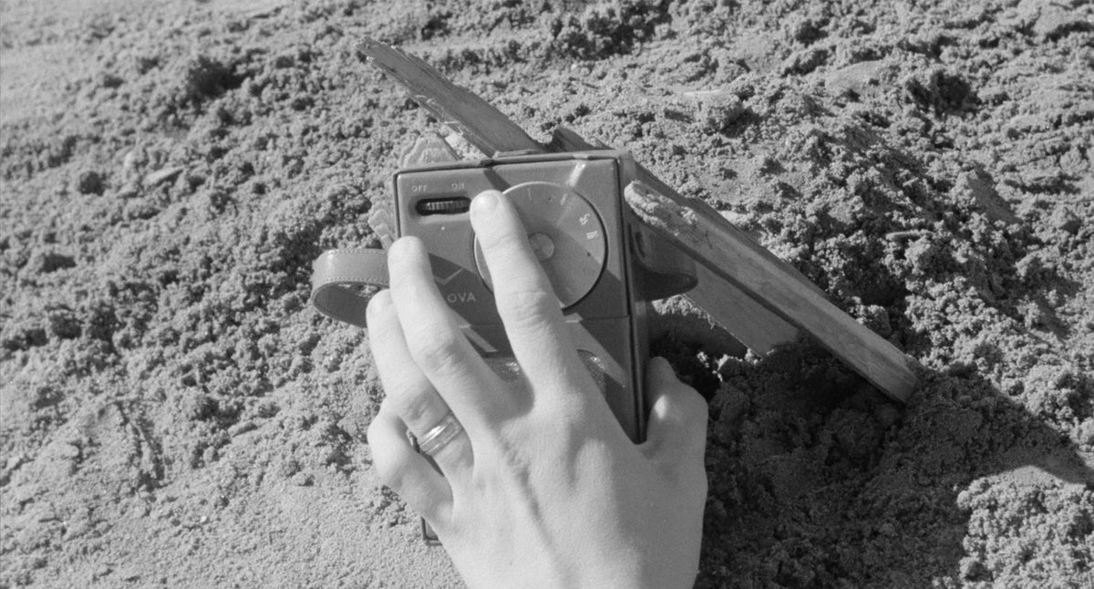 The Monster of Camp Sunshine & Honeymoon of Terror