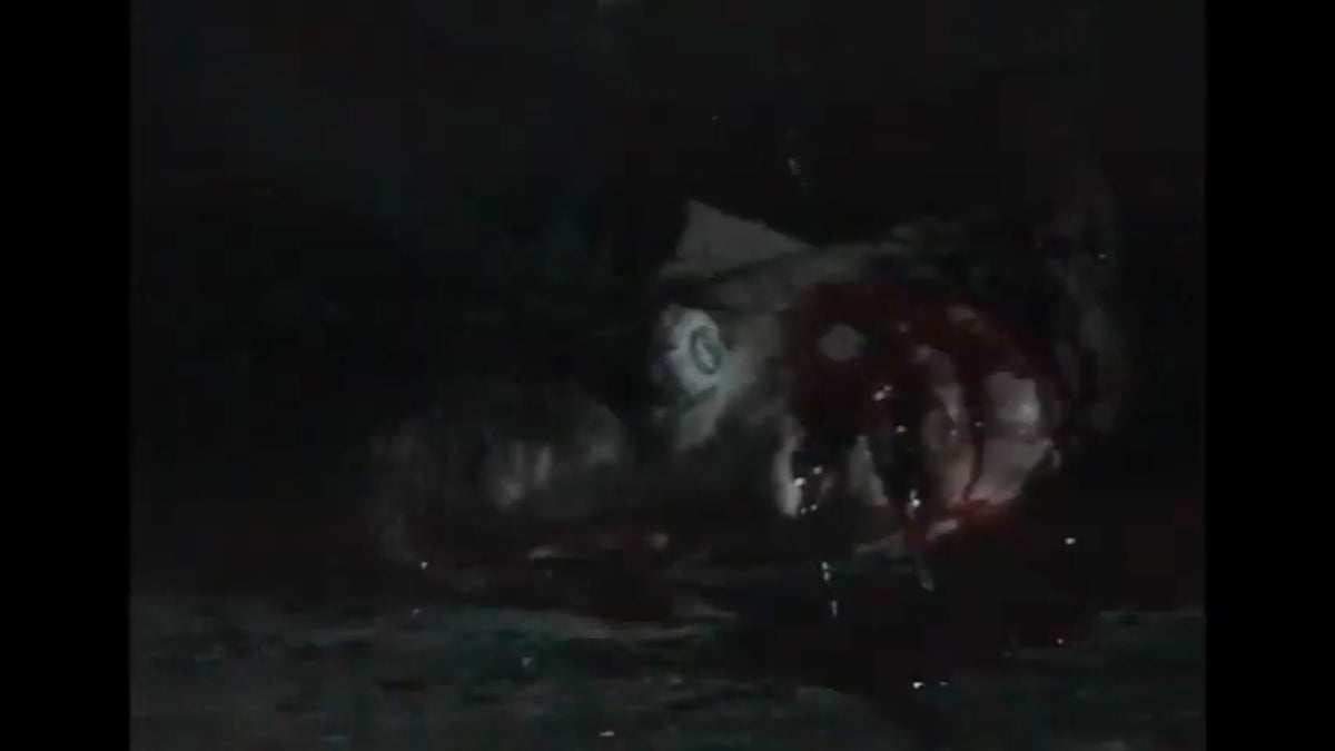 Sinistre