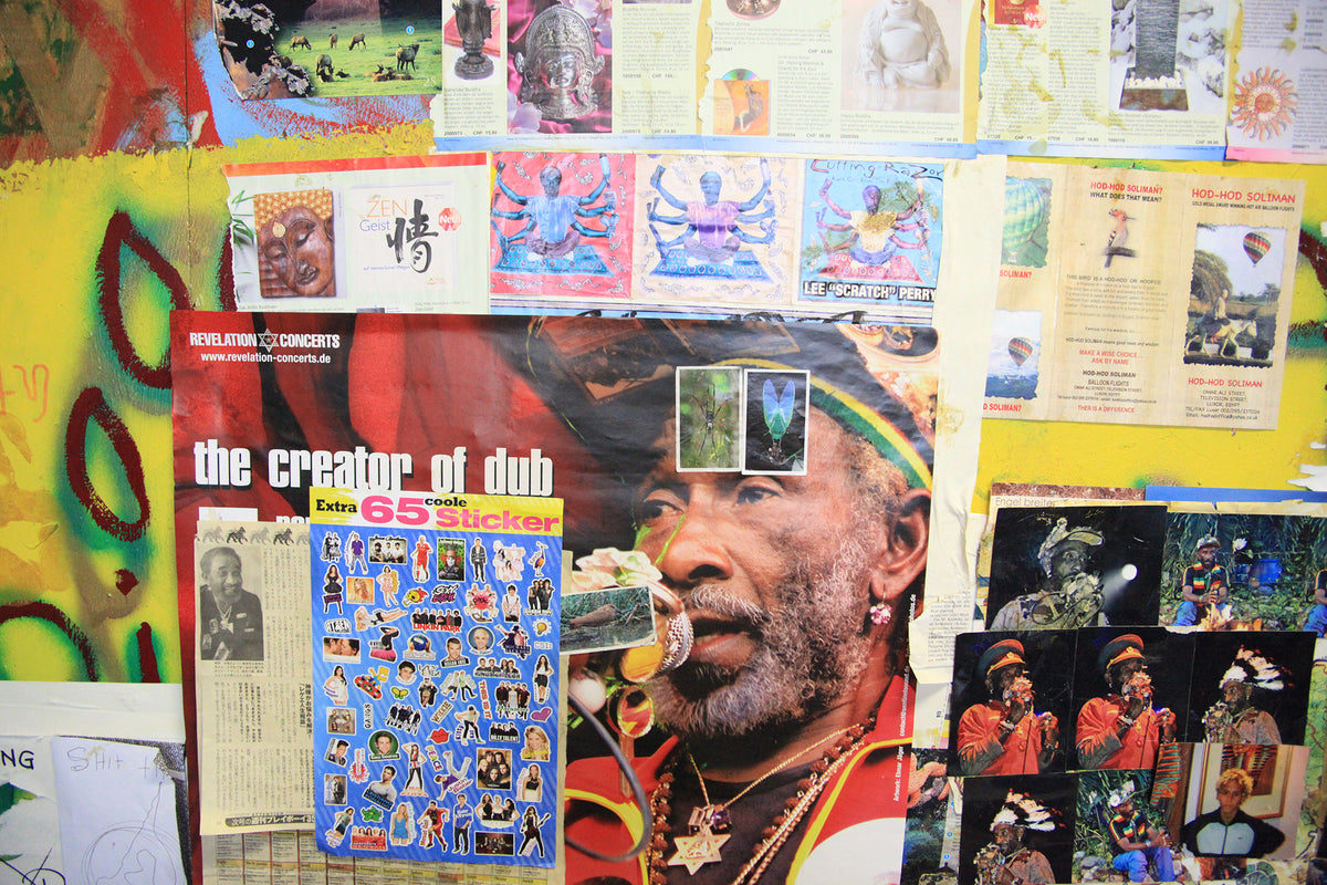 The Upsetter: The Life and Music of Lee "Scratch" Perry