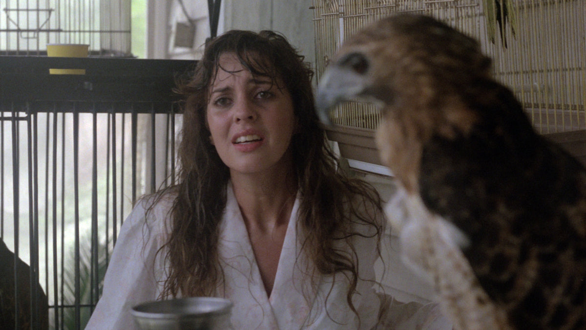 Zombie 5: Killing Birds