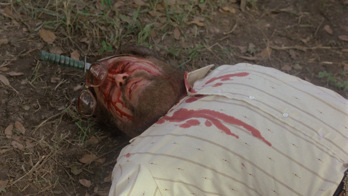 Zombie 5: Killing Birds