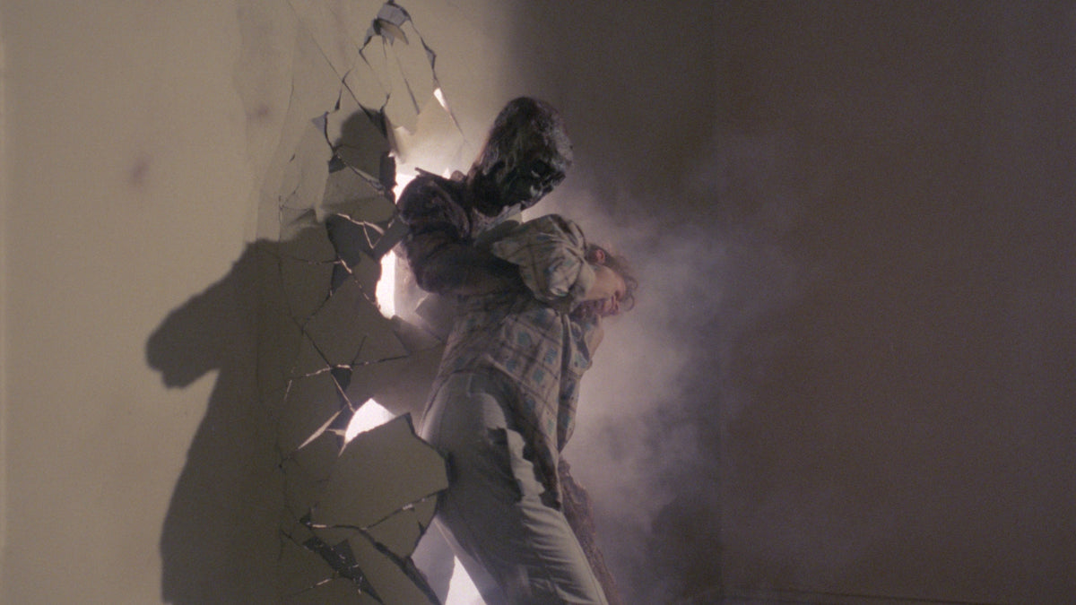 Zombie 5: Killing Birds